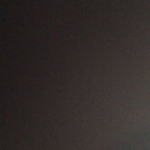 Meet your Posher, Lily